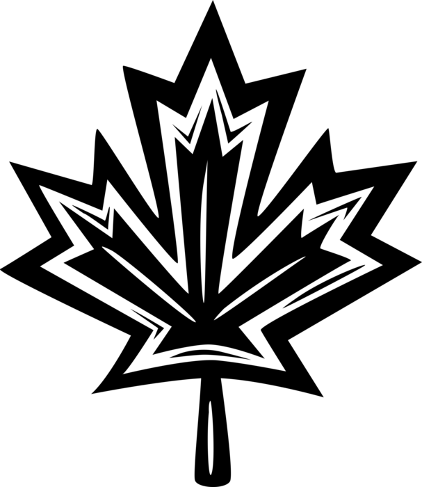 Vector Illustration of National Symbol of Canada Canadian Maple Leaf