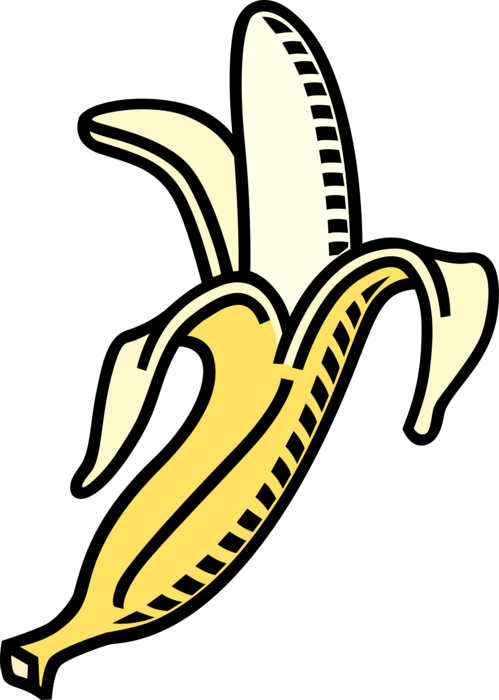 Vector Illustration of Peeled Banana Edible Fruit