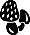 8xic01yfox vc027179