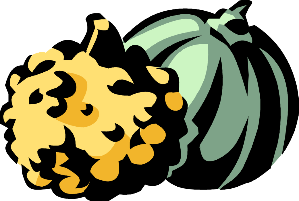 Vector Illustration of Gourd Hard-Shelled Plant Fruit