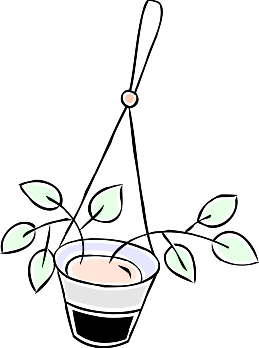 Vector Illustration of Houseplant Hanging Plant