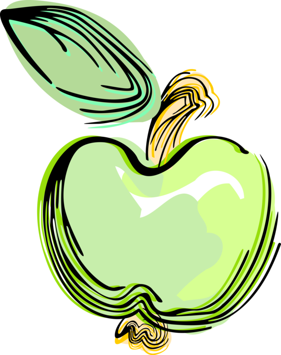 Vector Illustration of Green Apple Pomaceous Food Fruit