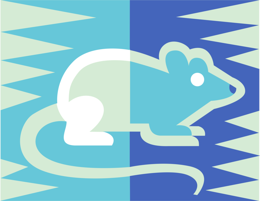 Vector Illustration of Small Rodent Mouse or Rat
