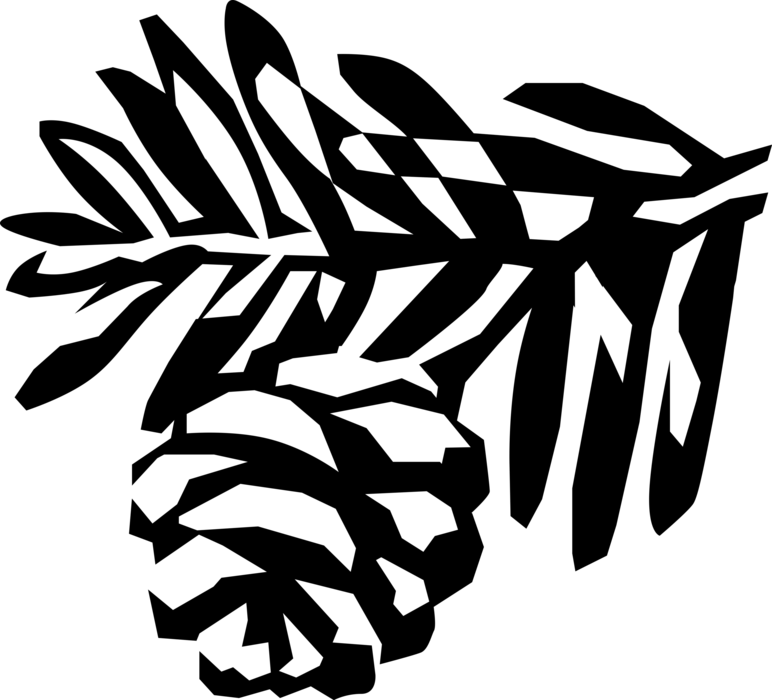 Vector Illustration of Conifer Tree Pine Cone and Coniferous Evergreen Branch