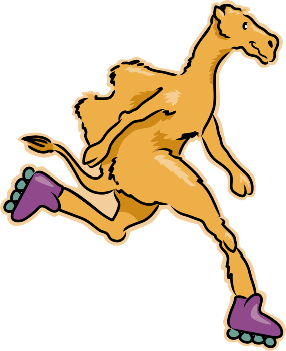 Vector Illustration of Rollerblading Beast of Burden Camel on Inline Rollerblade Skates