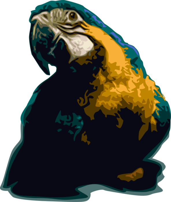 Vector Illustration of South American Macaw Parrot Bird