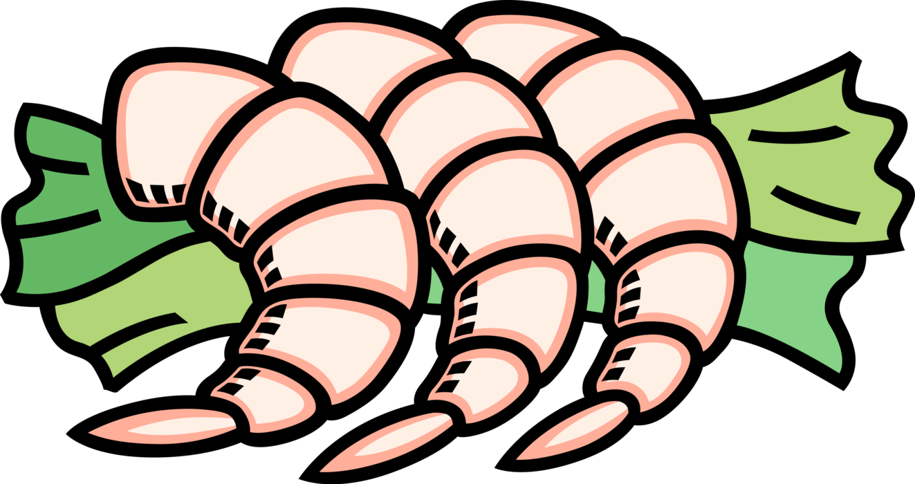 Vector Illustration of Decapod Marine Crustacean Prawn Shrimp Shellfish Seafood