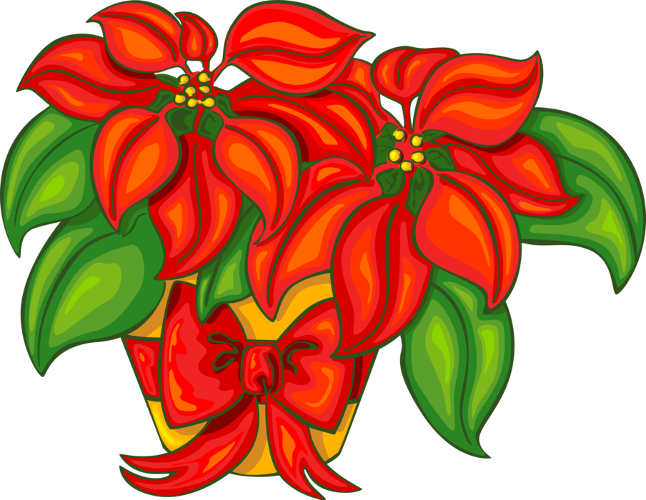 Vector Illustration of Festive Season Christmas Poinsettia Flower