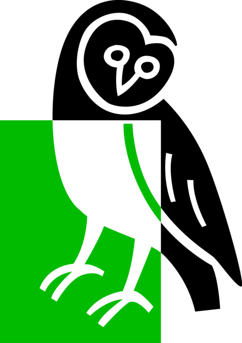 Vector Illustration of Owl Nocturnal Bird of Prey on Tree Branch