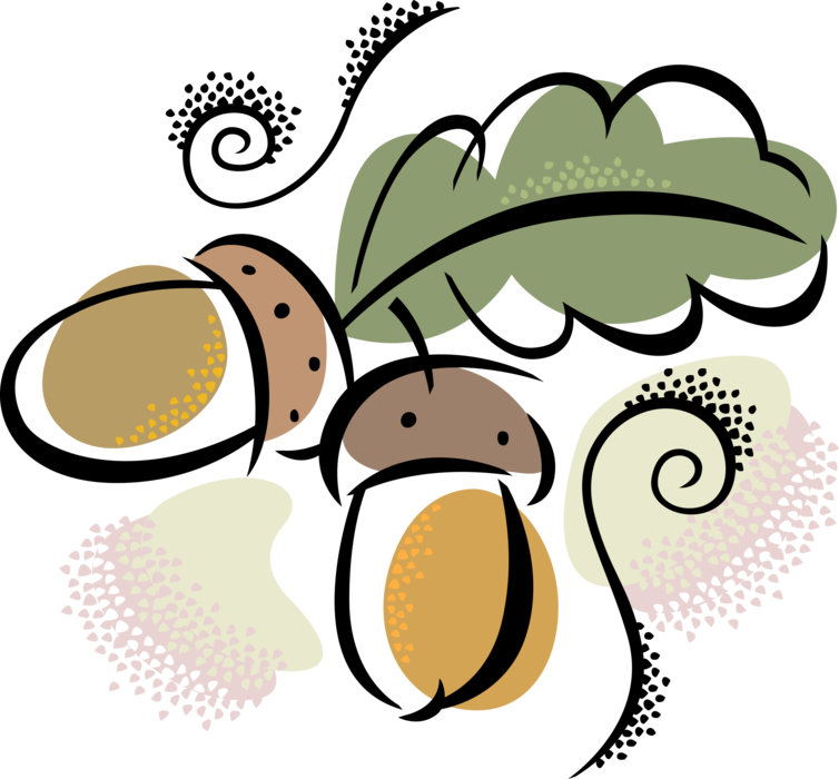 Vector Illustration of Oak Acorn Single Nut Seeds and Leaf