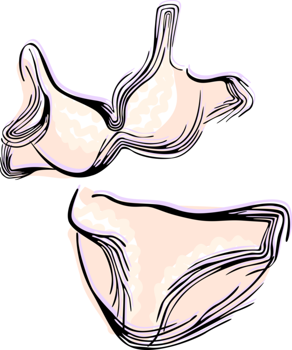 Vector Illustration of Lingerie Undergarment Brassiere Bra Undergarment and Underwear