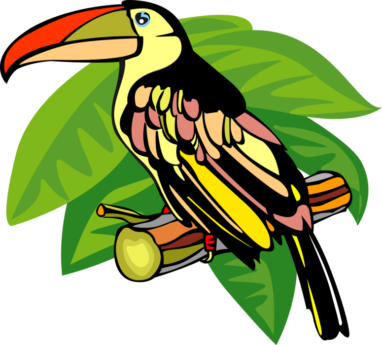 Vector Illustration of Toucan Bird with Large Beak on Tree Branch in Forest