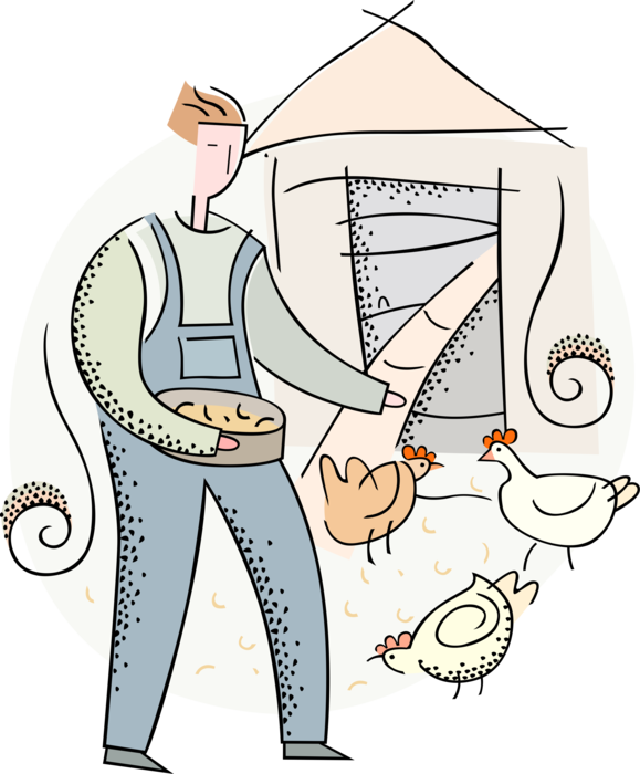 Vector Illustration of Farmer Feeds Domesticated Fowl Chicken Hens on Farm