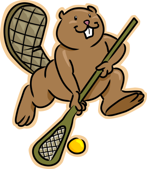 Vector Illustration of Nocturnal Semiaquatic Rodent Castor Beaver Plays Lacrosse