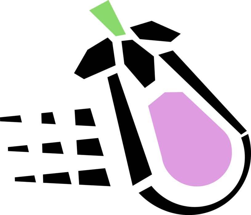 Vector Illustration of Eggplant Aubergine Nightshade Edible Vegetable