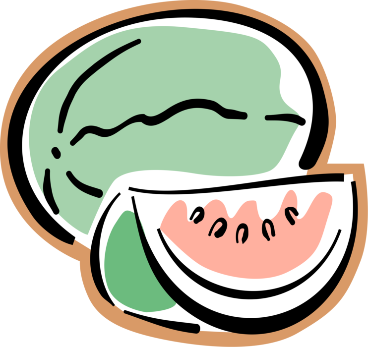 Vector Illustration of Sliced Watermelon Melon Fruit