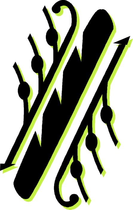 Vector Illustration of Botanical Horticulture Plant Stalk with Stems and Buds