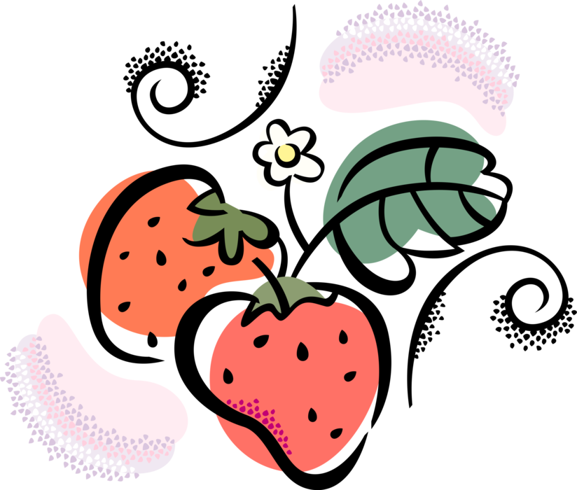 Vector Illustration of Garden Strawberry Edible Fruit Crop