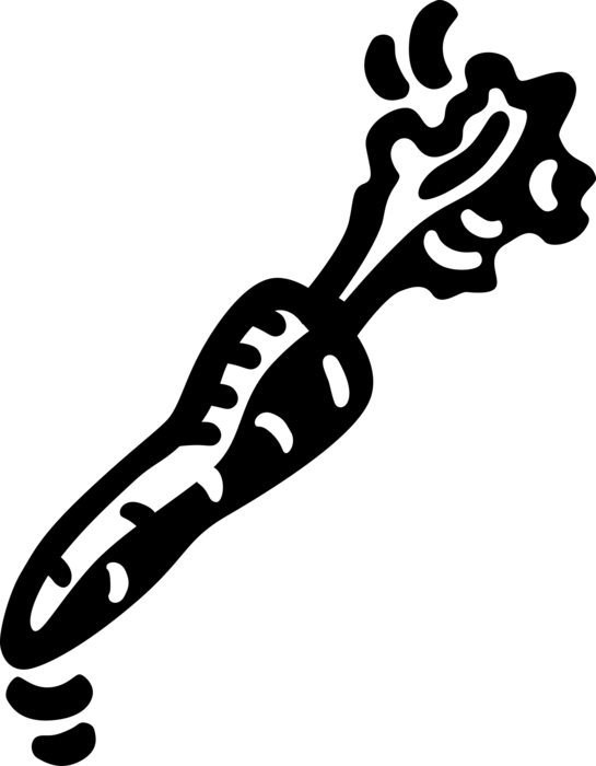Vector Illustration of Garden Root Vegetable Carrot Contains Carotenoids for Vision and Eye Health