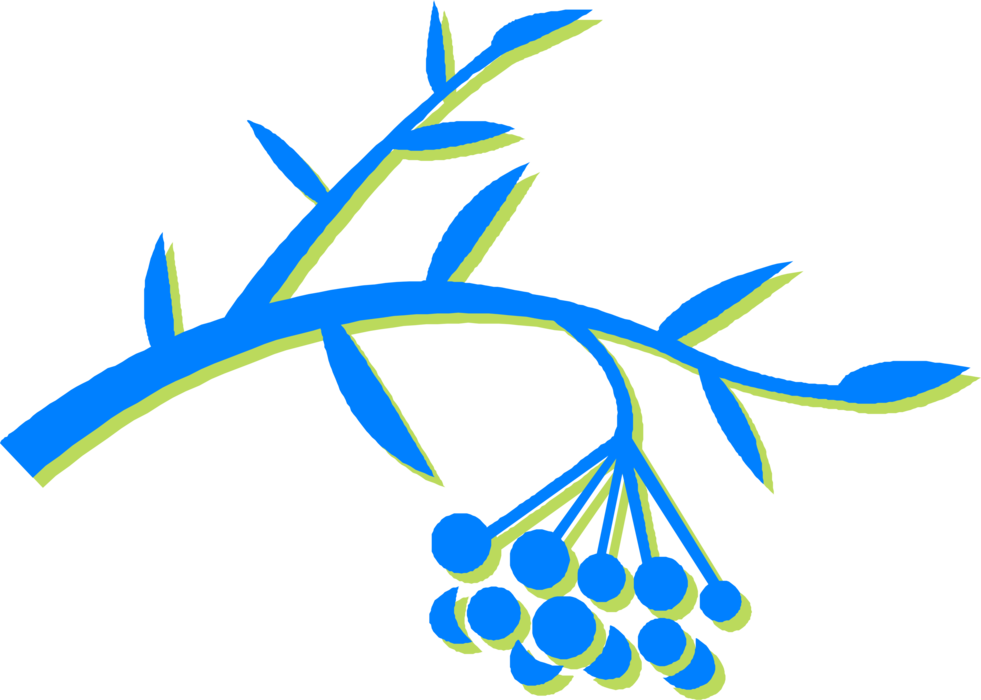 Vector Illustration of Wild Berries Fruit on Branch with Leaves