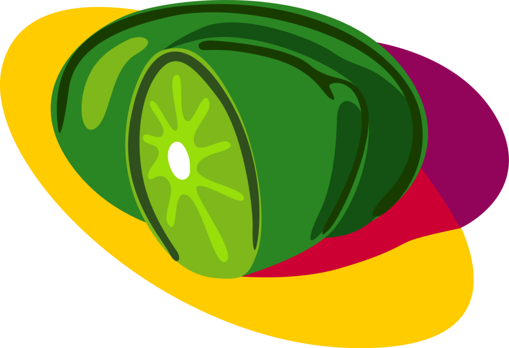 Vector Illustration of Sliced Citrus Lime Fruit