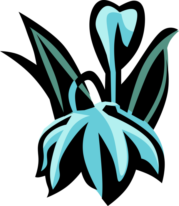 Vector Illustration of Blue-Eyed-Grass Satin Flower Botanical Horticulture Flowering Plant