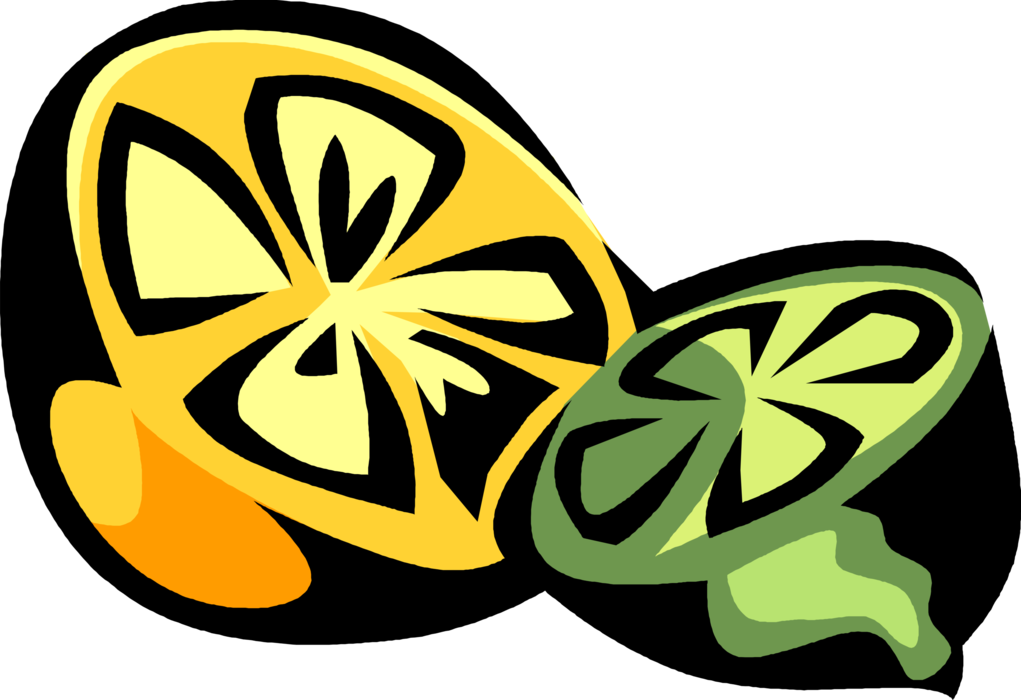 Vector Illustration of Sliced Citrus Lemon and Lime