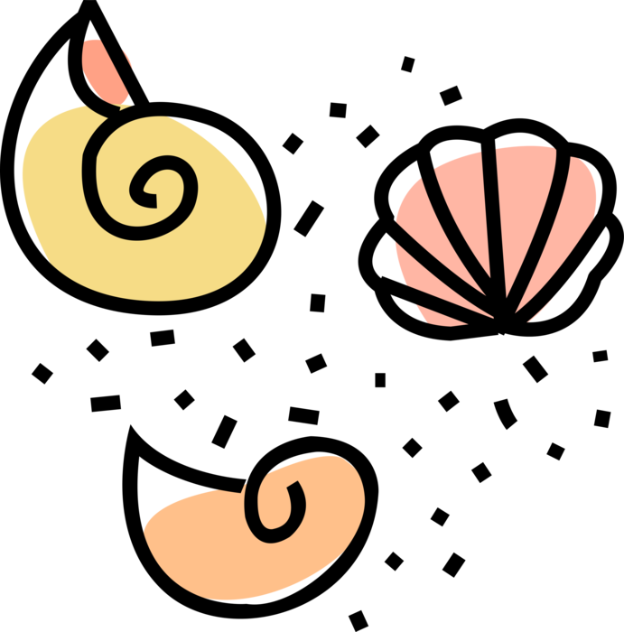 Vector Illustration of Marine Aquatic Mollusk Seashells