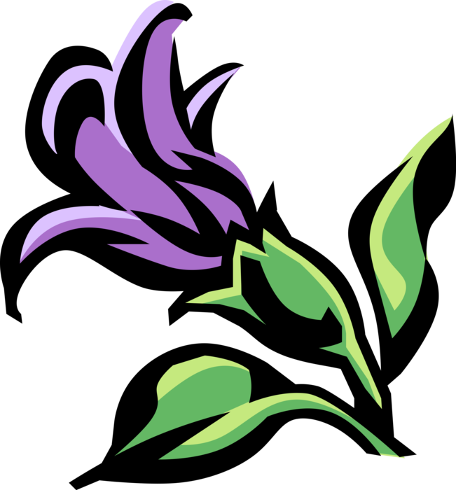 Vector Illustration of Monkey-Flower Botanical Horticulture Flowering Plant