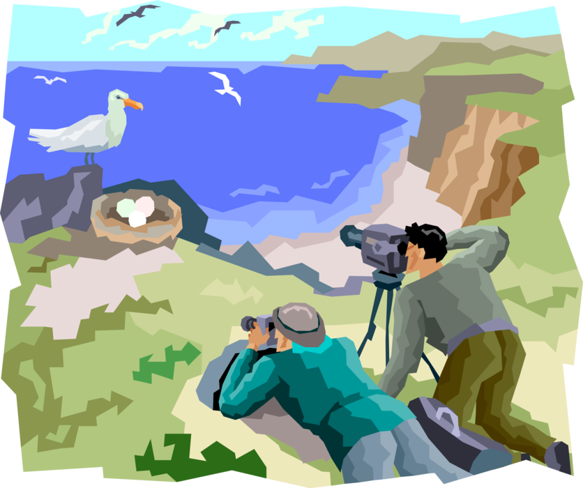 Vector Illustration of Wildlife Biologists Observe and Film the Behavior of Seagull Nesting on Cliff