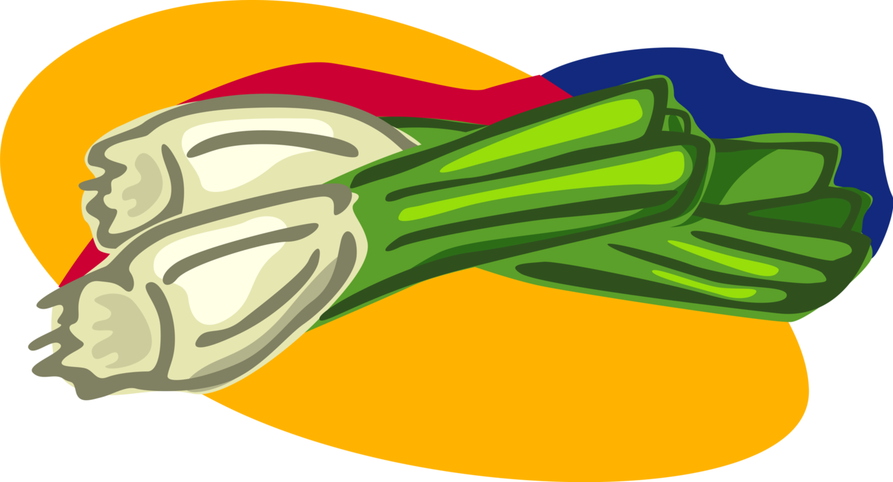 Vector Illustration of Bundled Sheath Edible Vegetable Leeks