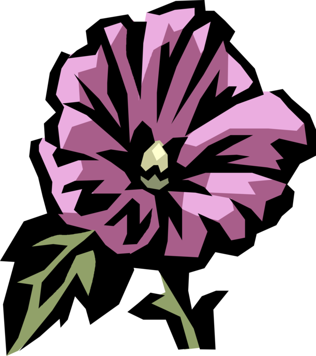 Vector Illustration of Rosemallow Hibiscus Botanical Flowering Plant