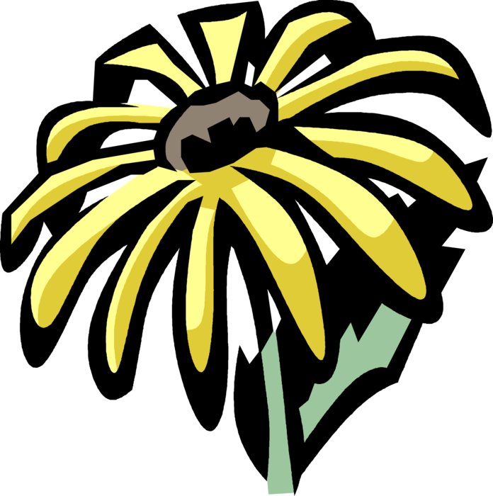 Vector Illustration of Black-Eyed Susan Botanical Flowering Ornamental Plant