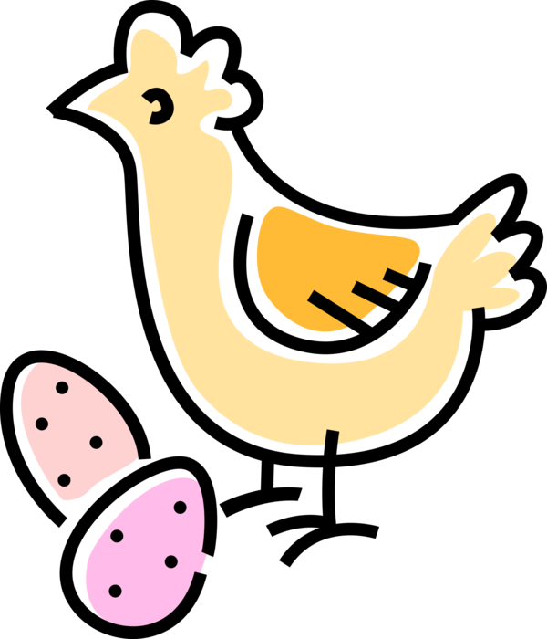 Vector Illustration of Domesticated Fowl Chicken with Eggs