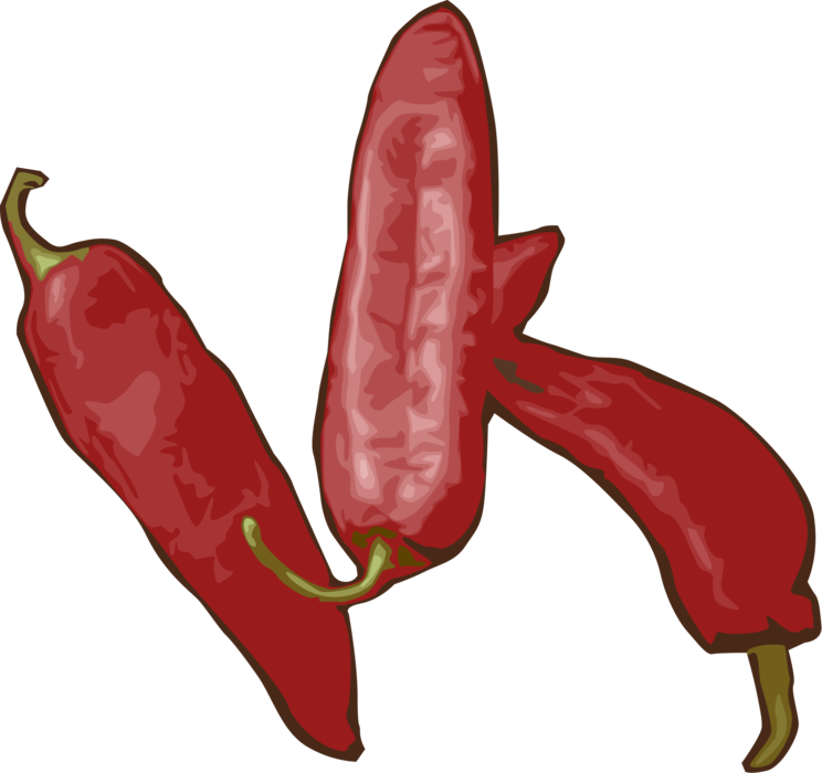 Vector Illustration of Cayenne Red Hot Chili or Chilli Peppers