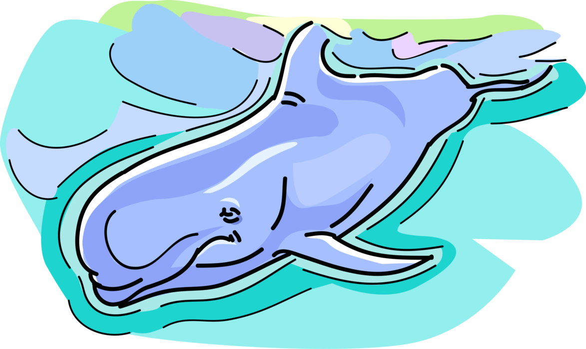 Vector Illustration of Aquatic Marine Mammal Blue Whale