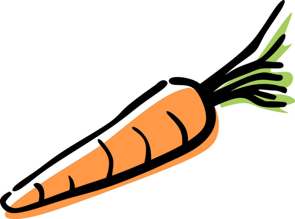 Vector Illustration of Garden Root Vegetable Carrot Contains Carotenoids for Vision and Eye Health