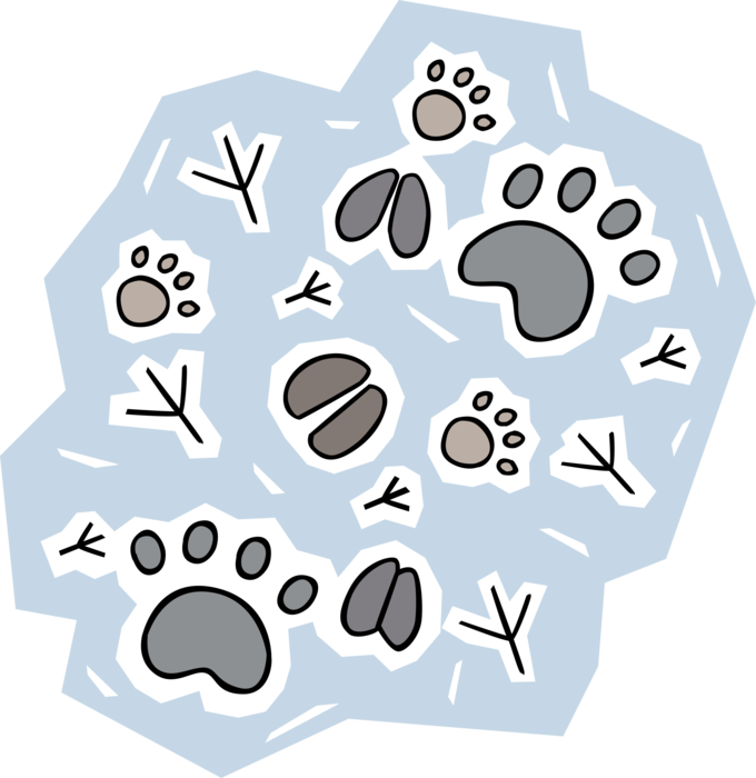 Vector Illustration of Animal Paw Prints in Snow