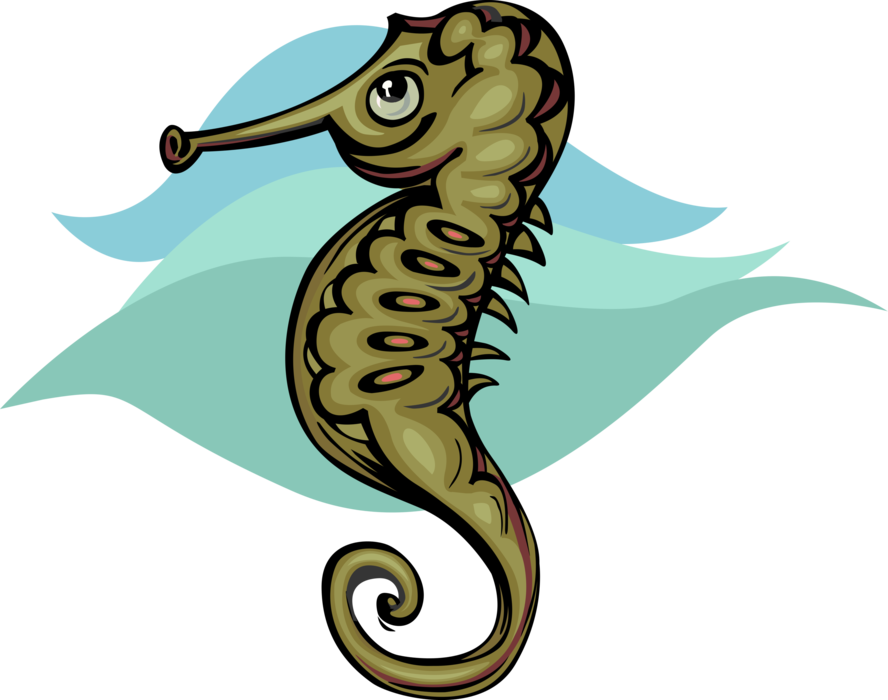 Vector Illustration of Marine Fish Hippocampus Genus Seahorse