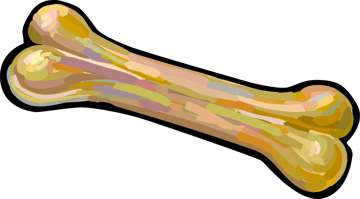 Vector Illustration of Dog Bone for Chewing On