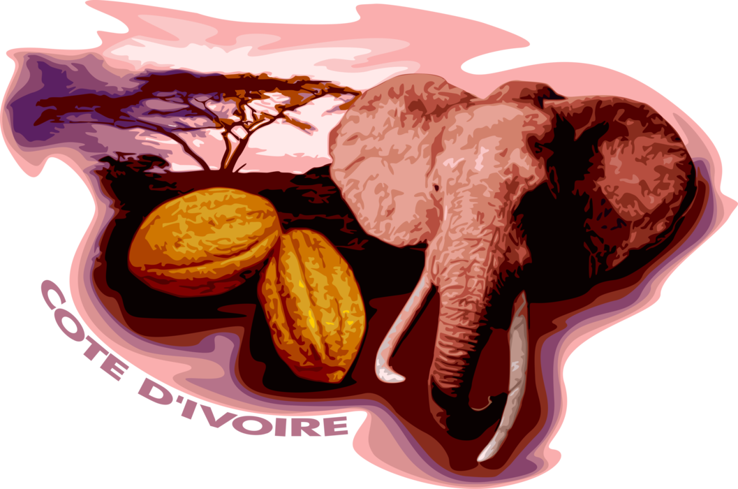 Vector Illustration of Africa Cote d'Ivoire Postcard with Cocoa Beans for Chocolate and African Elephant with Ivory Tusks