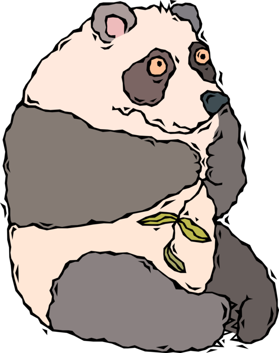 Vector Illustration of Chinese Giant Panda Bear Endangered Species Bear