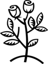 3khgol374e vc023848
