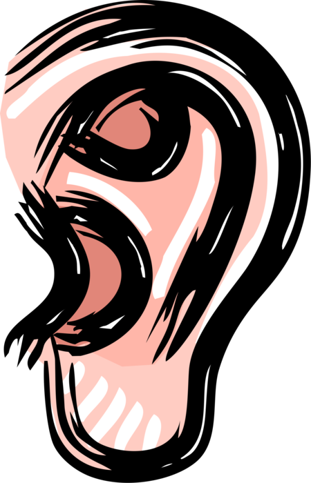 Vector Illustration of Human Ear for Hearing