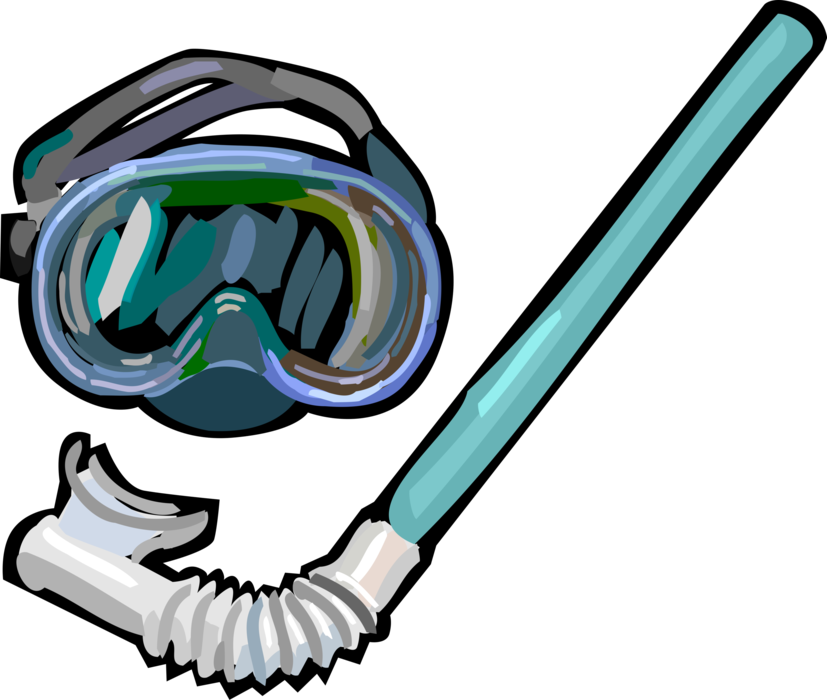 Vector Illustration of Snorkeling Snorkel Breathing Tube and Diver's Dive Mask