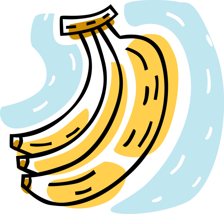 Vector Illustration of Soft, Sweet, Dessert Banana Edible Fruit 