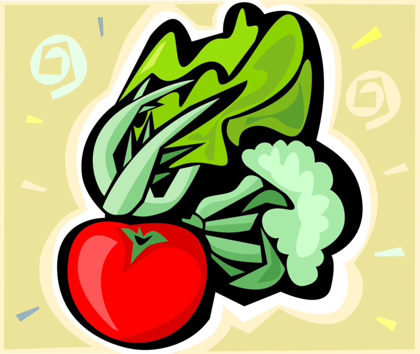 Vector Illustration of Tomato, Broccoli and Romaine Lettuce