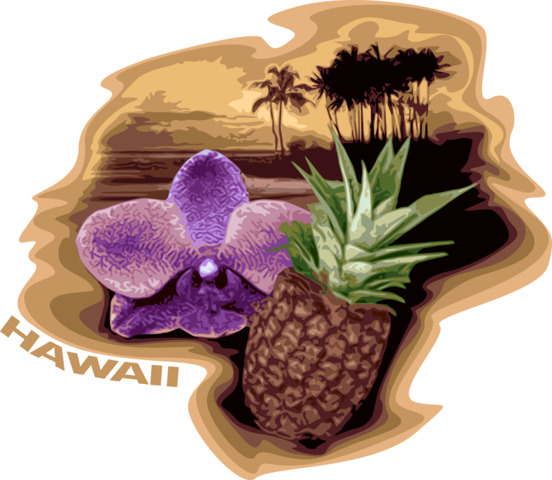 Vector Illustration of Hawaii Postcard Design with Palm Trees, Pineapple and Phalaenopsis Orchid Flower