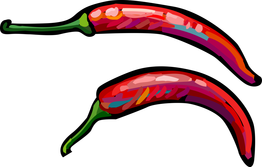 Vector Illustration of Cayenne Red Hot Chili or Chilli Peppers