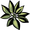 7bio9ht0yi vc038013